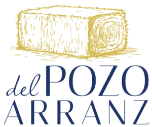 logotipo azul del pozo arranz