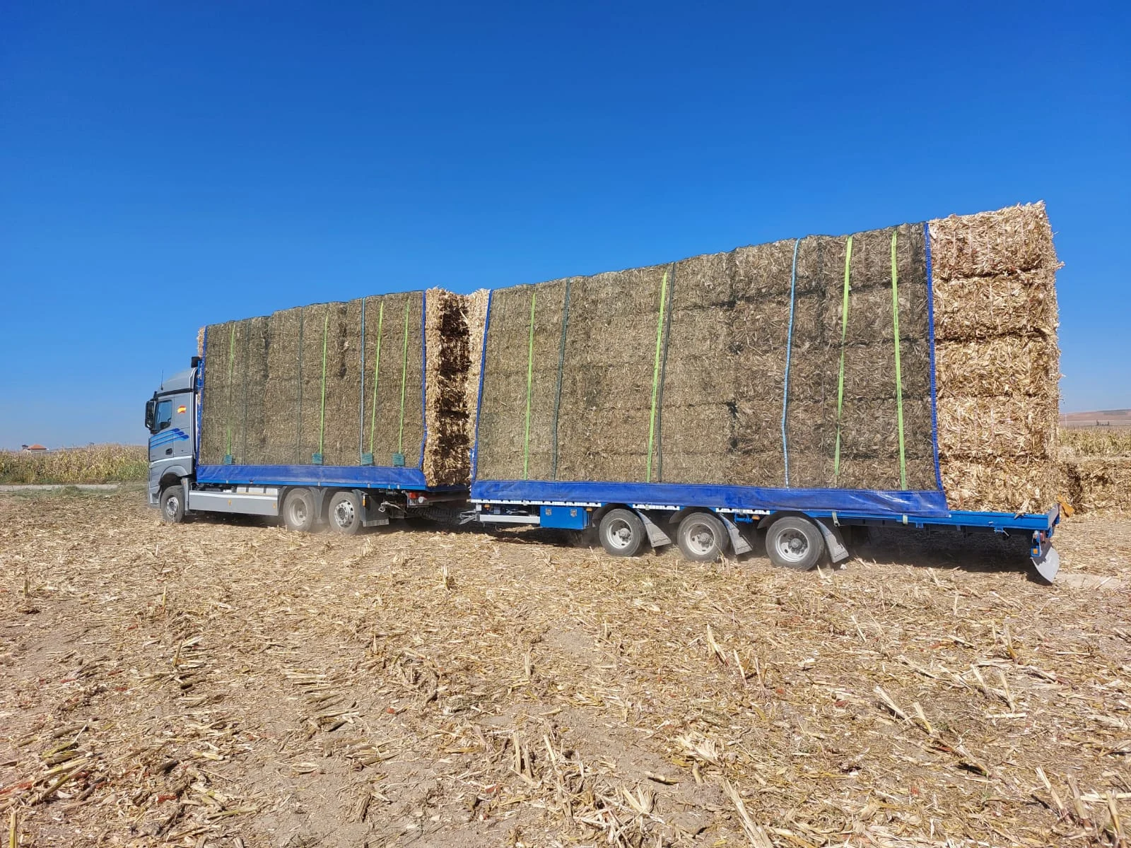 camión cargada de paja y forrajes
